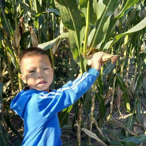 北关小学一（2）班赵隽唯假期劳动体验