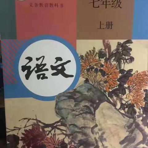面朝大海，春暖花开（一）——海口市体育运动学校2017年七年级部编教材培训纪实。