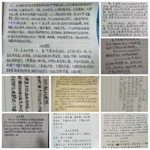 六三班班会感想