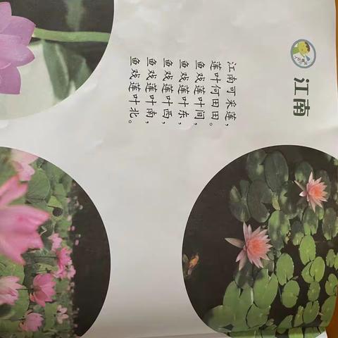 长葛市建设办神墨智慧树幼儿园小班—5月27日星期五“祖孙日”线上“日常陪伴”教育互动