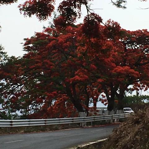 缘遇的美篇