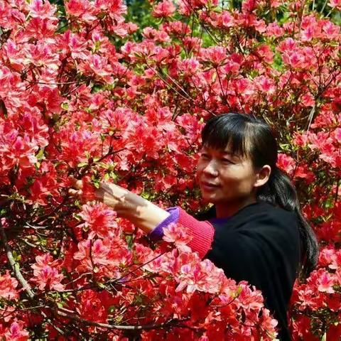 出行游