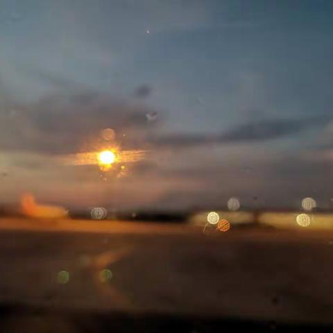 汕头行之吃伤了😋