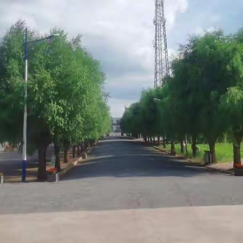 喜迎二十大，丹心颂祖国——孟家岭中学颂祖国征文活动