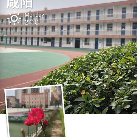 隔空不隔爱   “艺”直在线—文汇路小学美术组