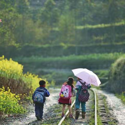 上学/放学路上……