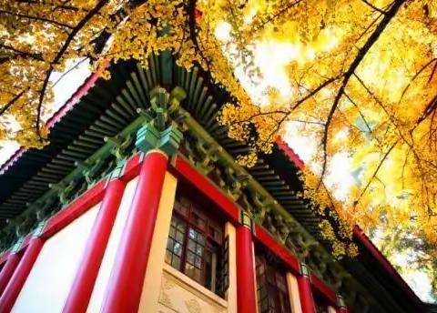南京培训随记----参观南师大随园校区