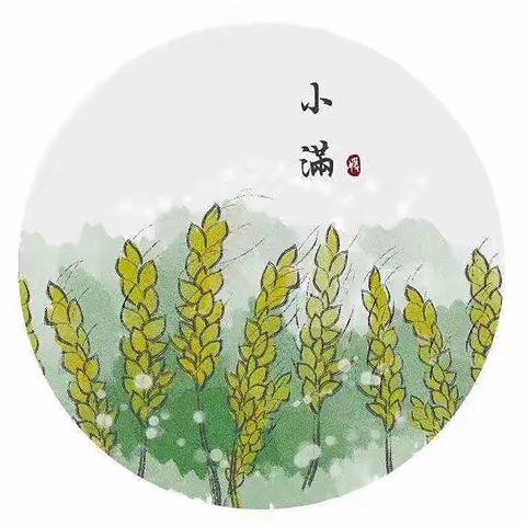 🌱小满小满 辛福满满🌱 封辉学雅幼儿园二十四节气之小满