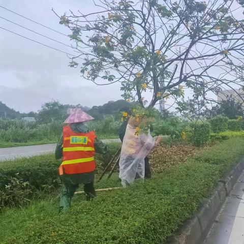 潮阳区公路事务中心全力做好台风“苏拉”防御工作