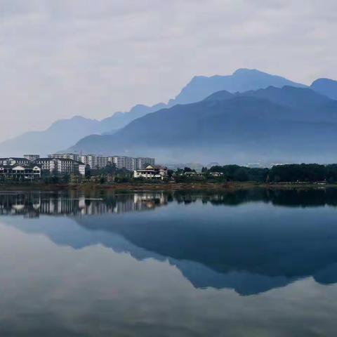 中年经不得闲境---所思所感