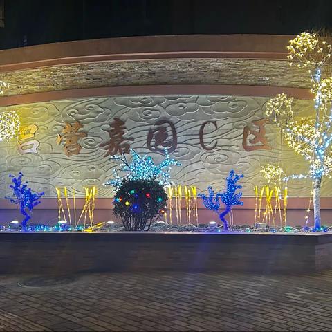 正月十五赏灯花