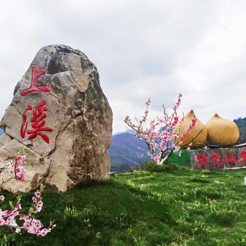 “家乡美·桃源情”桃花诗会