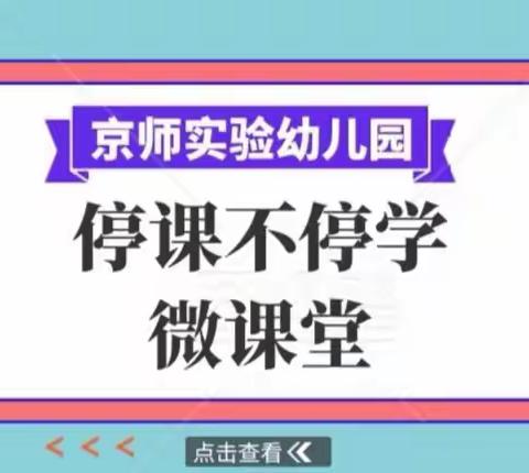 “停课不停学微课堂”京师实验幼儿园三月份亲子活动