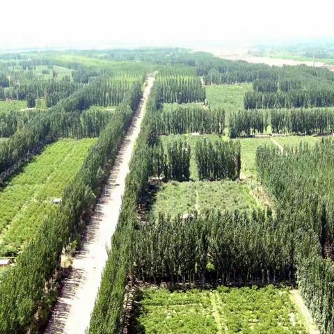 美丽的阿克苏 柯柯亚荒地变绿洲