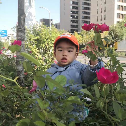 妥妥成长抖音2022年（十月）