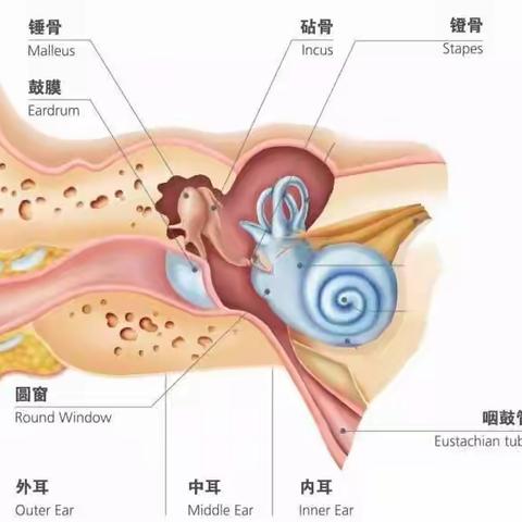 新冠后耳鸣耳堵闷原因及治疗（新冠防治系列1）