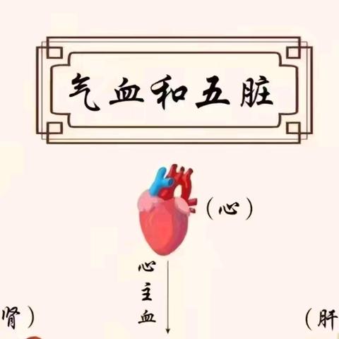 「气血和五脏」