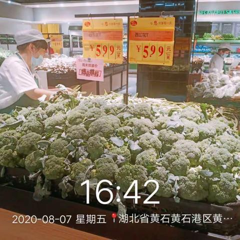 8月7日第三次营运图片