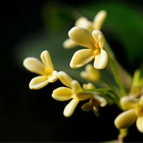 温馨送教，情暖潜川