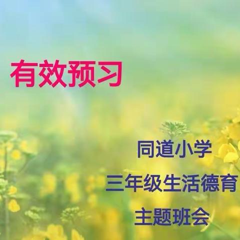 养成预习习惯、学会预习—同道小学三年级生活德育主题班会