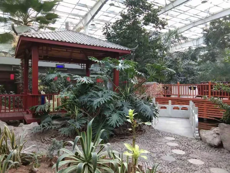 铁二师九团太原战友聚会大昌生态园
