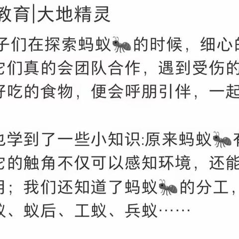 未来城童乐一班课程故事——“嘿，蚂蚁”