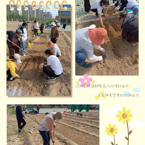 以春之芳华，收希望之果—记胜利花苑中学一年级劳动实践活动