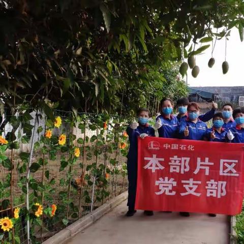 本部片区党支部2020年3月“主题党日”活动