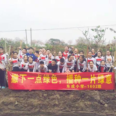 撒下一点绿色，播种一片绿意！    ——东成小学1602班植树活动