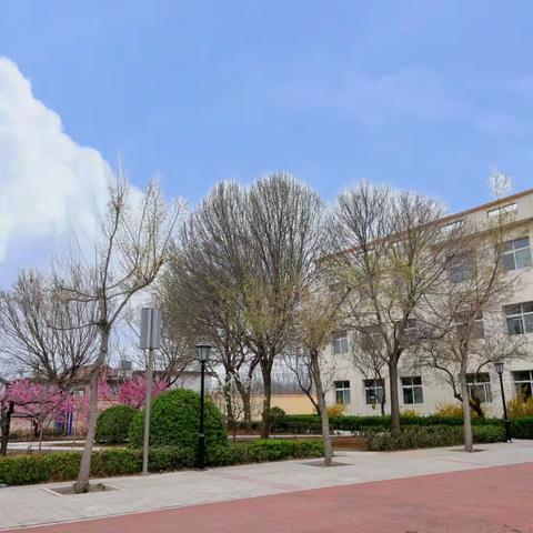 “忆满京城  情思华夏”——  河南寨镇中心小学思想品德教育系列活动