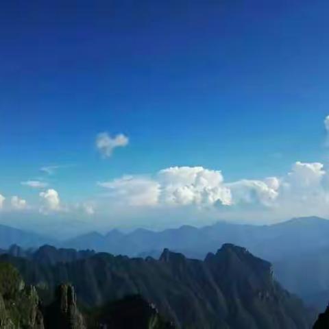 行走在神农架，犹如在画廊中穿梭。水柔情，树苍翠，云缠绕，山磅礴，花无语，雾旖旎，景醉人！