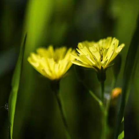 黎雨影像的美篇