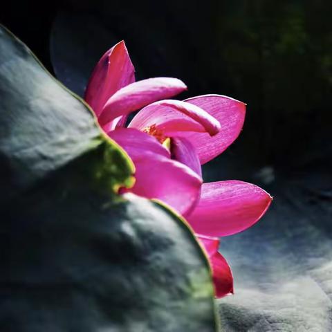 2023年我的摄影代表作