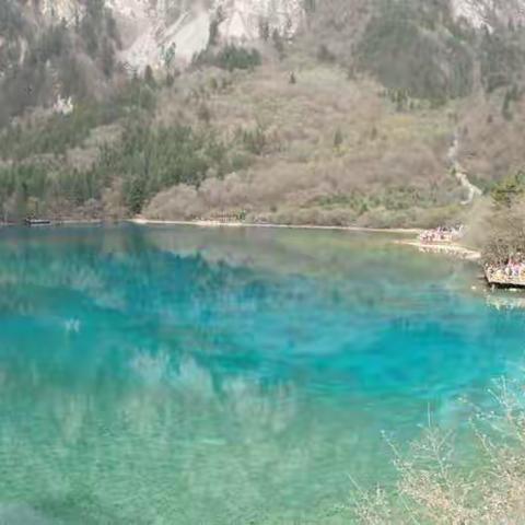 成都游  三