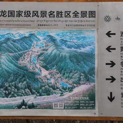 成都游   二