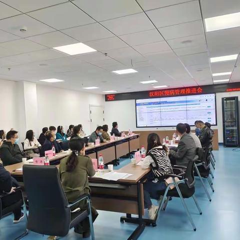 汉阳区卫健局召开2022年慢性病管理推进会