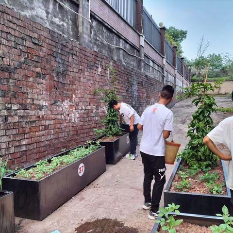 安宁学校英语教研组双减背景下的如何作业设计
