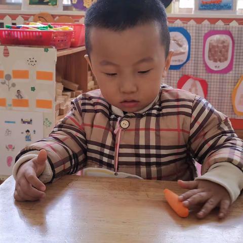 巧手匠心 百变彩泥——肥城市实验幼儿园桃苗七班彩泥活动