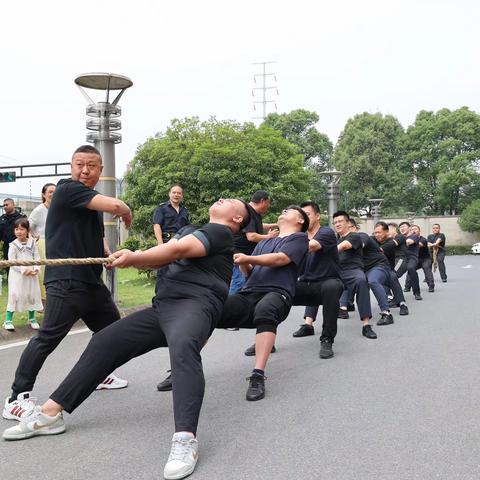 力“拔”山河 “绳”采飞扬！金华市保安公司代表队获拔河比赛第二名