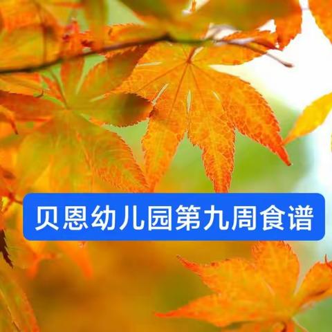 舌尖上的幼儿园——贝恩营养美食