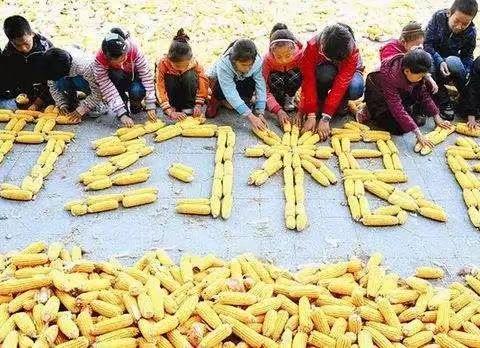 世界粮食日（World Food Day）起始于1981年10月16日，是世界各国政府每年在10月16日围绕发展粮食和农业生产举