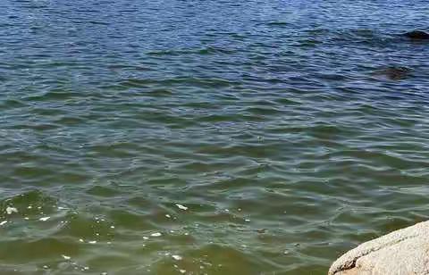 2019快乐暑假之旅