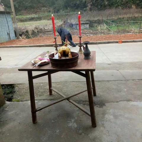 年轮上的又一圈——2019