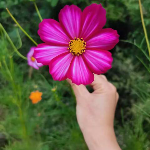 物业防汛七字诀