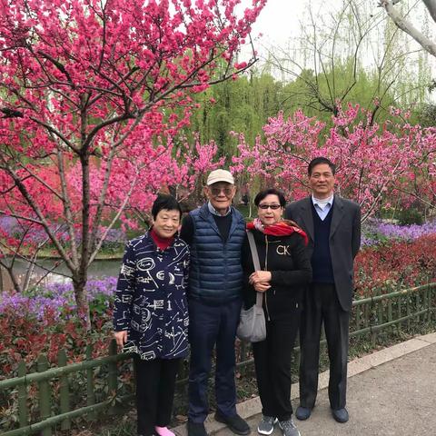 春嗳花开回故乡，花影深情会永存！