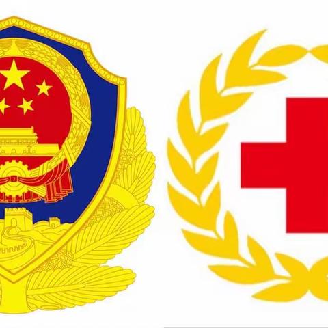 【战训日记】之 应急救护篇