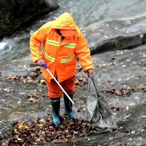 秋雨渐浓落叶飘 环卫工人清理忙