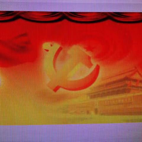 新华支行开展“合规有实招”活动