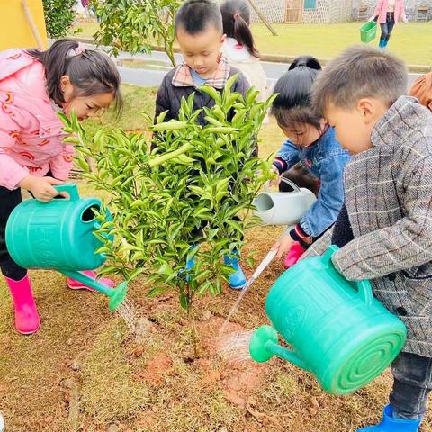 一起“趣植树”呀！🌲——银河镇中心幼儿园大一班