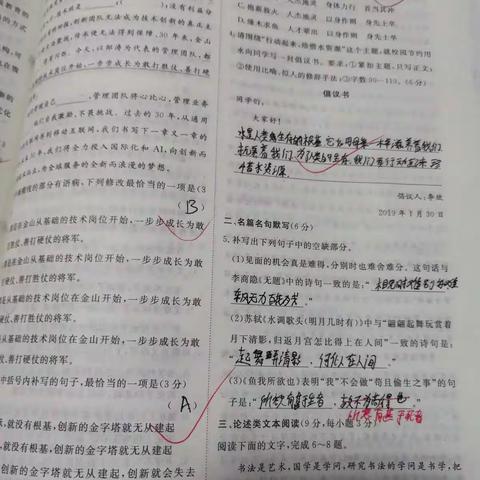 美的美篇